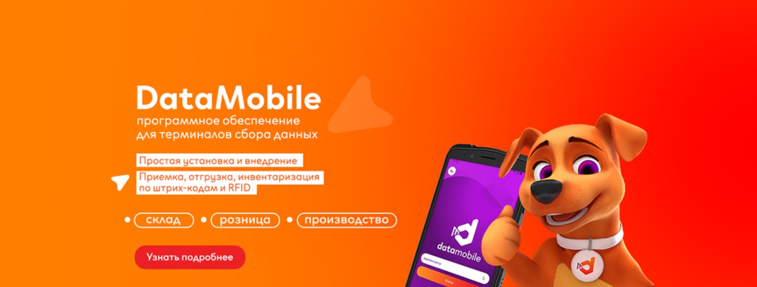 Программное обеспечение DataMobile